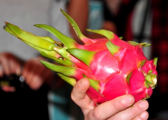 pitahaya