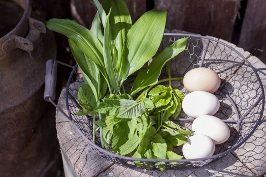 Jajka sadzone na czosnku niedÅºwiedzim i podagryczniku
