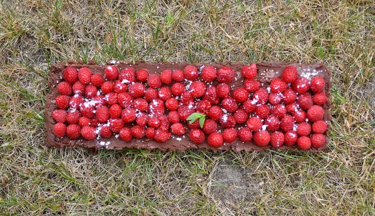 tarta czekoladowa