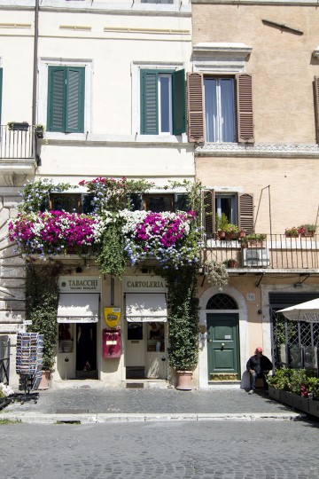 Piazza Navona, Plac Navona